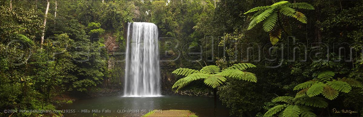 Peter Bellingham Photography Milla Milla Falls - QLD (PBH4 00 16946)